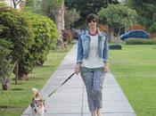 Gracias 2013, Bienvenido 2014!