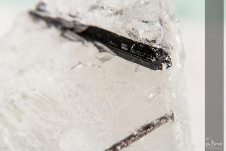 Macros con una ampliación x10