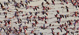 Aníbal, Escipión, cinceles y un faro