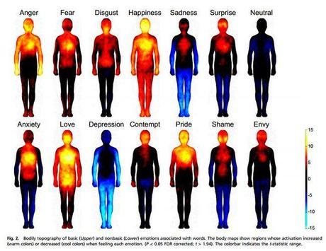 mapas-cuerpo-humano-emociones
