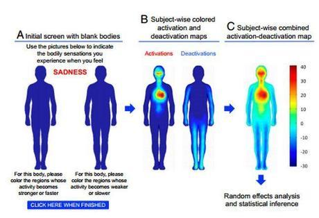 mapas-cuerpo-humano-emociones-ordenador