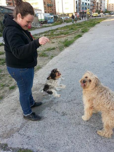 1040808_10200846411696438_817923748_o