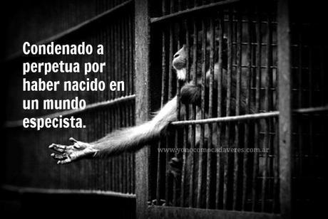 La banalidad del mal