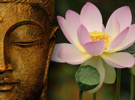 buddha-wallpapers-photos-pictures-lotus