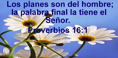 Los planes para el 2014