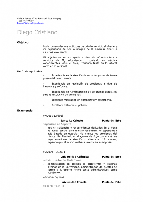 Cv Servicio tecnico al cliente pagina 001 724x1024 Plantilla demo de CV para soporte o servicio tecnico al cliente