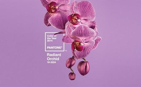 Orquídea radiante: color del 2014 radiant_orchid_orquidea_radiante_2014