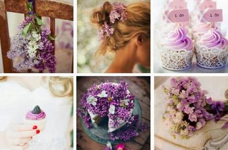 Orquídea radiante: color del 2014 radiant_orchid_orquidea_radiante_2014