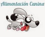 Algunos blogs interesantes