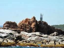 El archipiélago más pequeño de la Costa Brava: Las islas Formigues El archipiélago más pequeño de la Costa Brava: Las islas Formigues