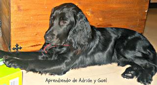 Navidad y Nochevieja