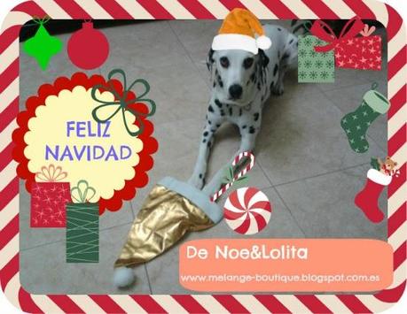 FELIZ NAVIDAD - MERRY CHRISTMAS - JOYEUX NOËL