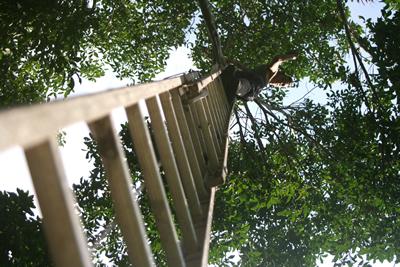 Para subir al cielo... se necesita, una escalera grande y otra chiquita. Foto: Silvia Corbelle