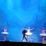 Lago,Rey León y pseudo-rusos. Russian Classical Ballet