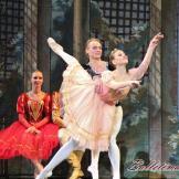 Lago,Rey León y pseudo-rusos. Russian Classical Ballet