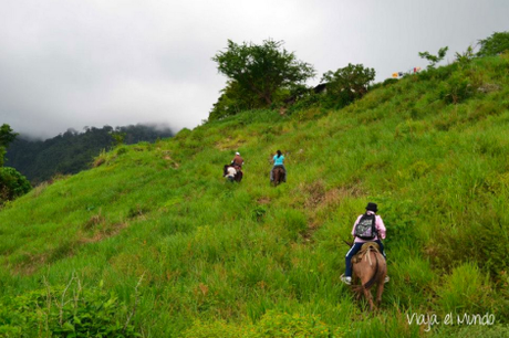 Subiendo entre tanto verde