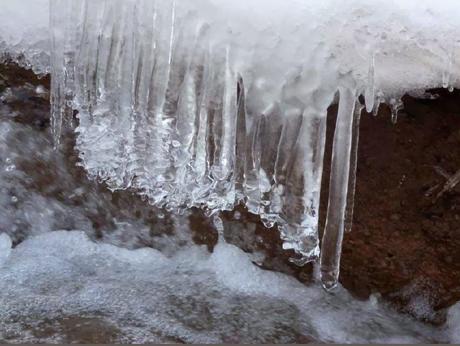 Y llegó la Ley Montoro