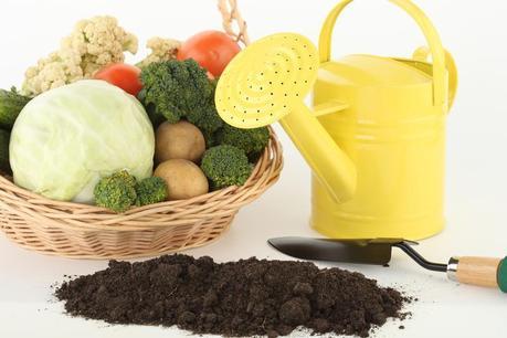 tendencias alimentación