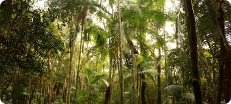 Los 10 artículos de Argentina Live más visitados durante el mes de Diciembre de 2013.