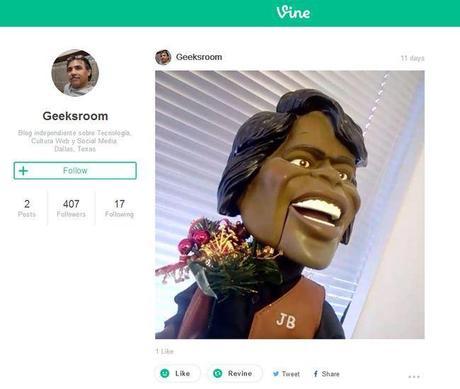 vine