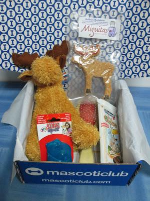 Mastociclub: Diciembre´13