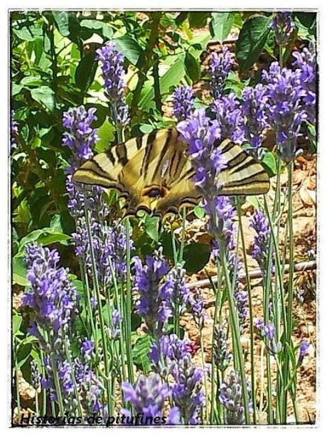 Sábado de sensaciones: magia