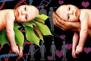 La Economía y el debate entre naturaleza vs. crianza (1)