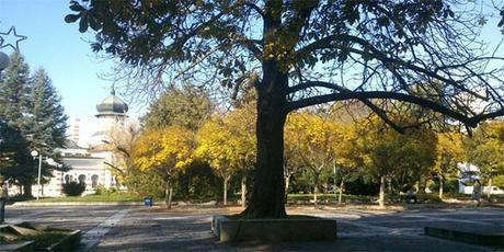 ¿Por qué es bueno pasar tiempo a solas con uno mismo? pleven