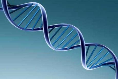 10 mitos sobre la creatividad 10 mitos sobre la creatividad