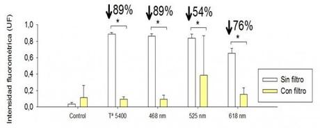 apoptosis grafico con y sin filtro conejos