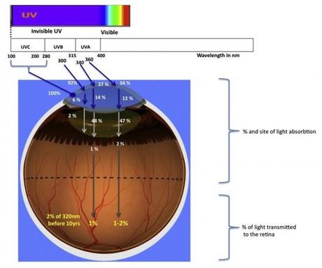 otra absorcion uv ojo