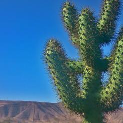 Maravillándonos en Lanzarote (I)