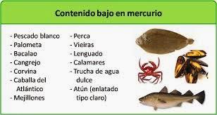 Cuidado con el pescado que consumes