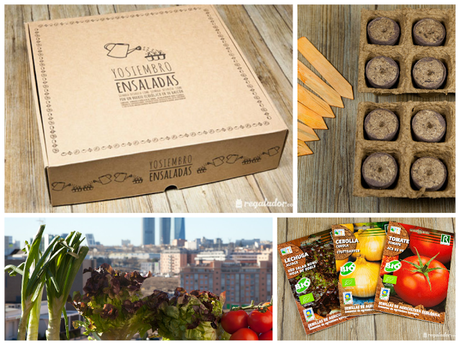 Queridos Reyes Magos