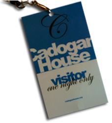 Some Girls bite (ChicagoLand Vampires 1) Chloe Neill