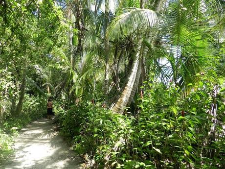 La comunidad de Carbón Dos y el Parque Nacional de Cahuita