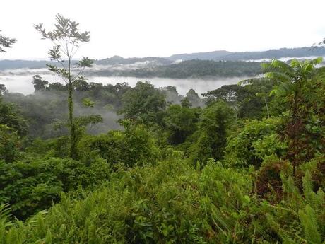 La comunidad de Carbón Dos y el Parque Nacional de Cahuita
