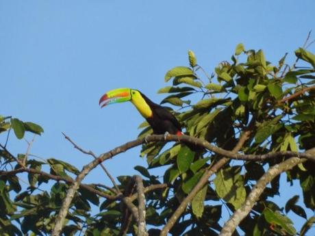 La comunidad de Carbón Dos y el Parque Nacional de Cahuita