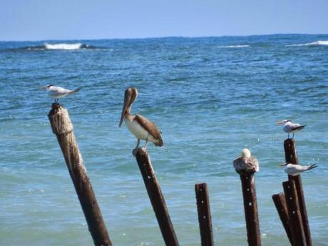 La comunidad de Carbón Dos y el Parque Nacional de Cahuita