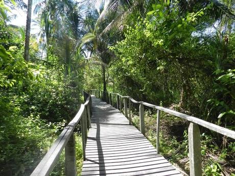 La comunidad de Carbón Dos y el Parque Nacional de Cahuita