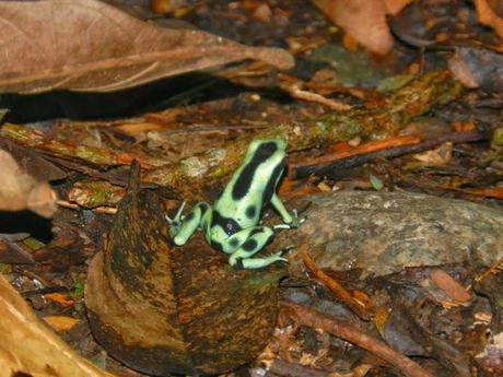 La comunidad de Carbón Dos y el Parque Nacional de Cahuita