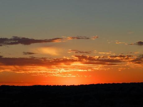 Atardecer entre encinas