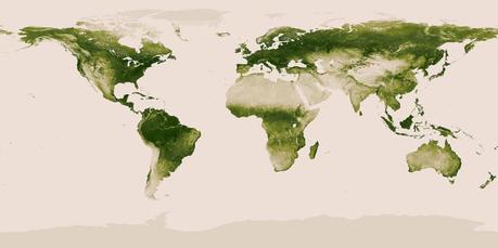 map-of-vegetation-on-earth