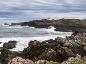 Juan Canal, Soto Marina