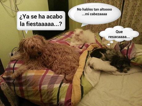 estamos tan agustito