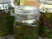 Aceite desinfectante casero