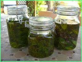 Aceite desinfectante casero