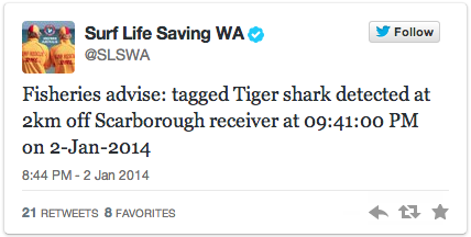 Screen Shot 2014 01 07 at 12.35.55 AM Los Tiburones Australianos ahora tuitean antes de atacar. 