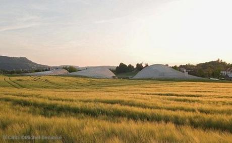 REFRENDAR LA TOPOGRAFIA paul klee