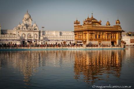 5 templos para visitar en el norte de India Templo Dorado, Amritsar